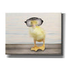 'Diving Duck' by Lori Deiter, Canvas Wall Art