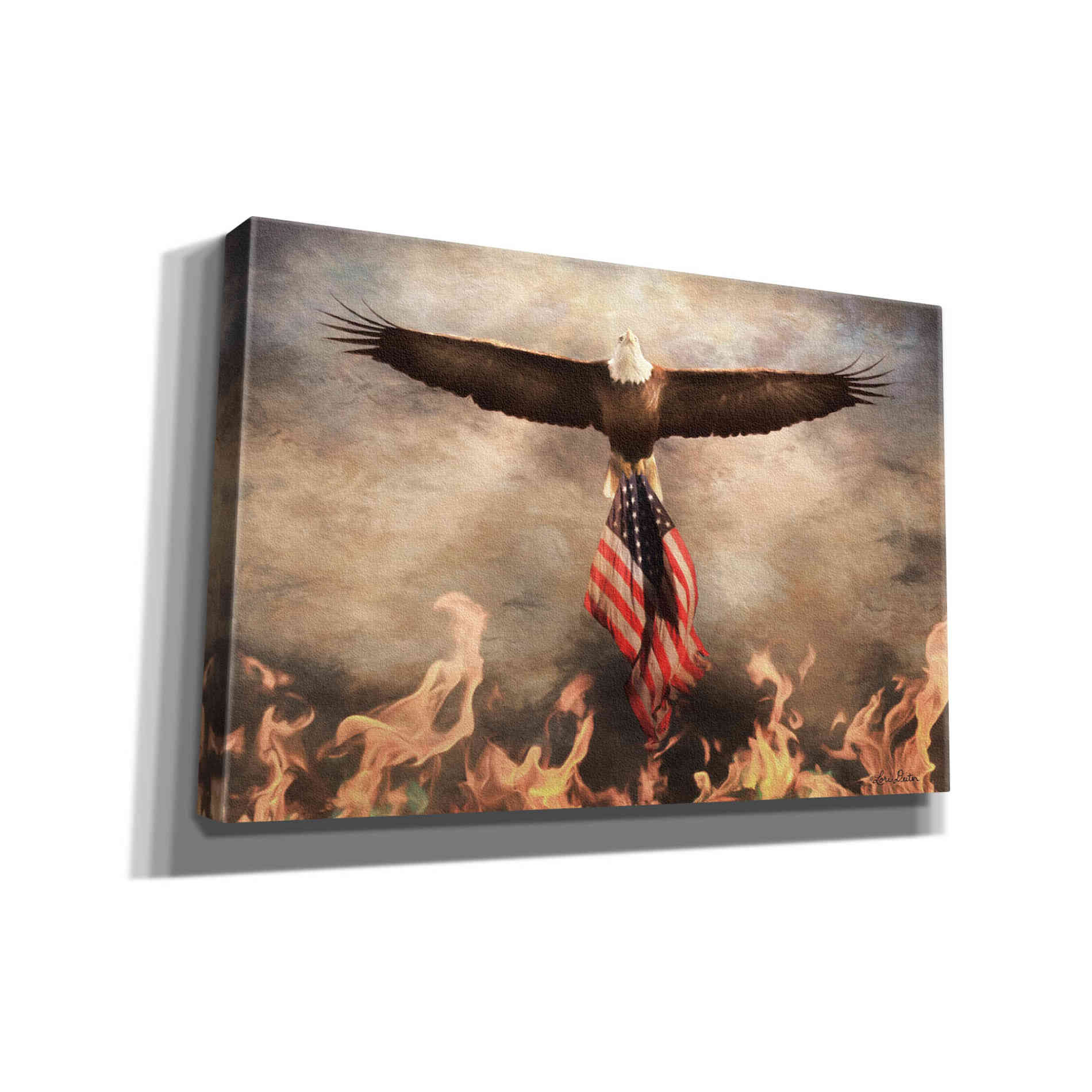 'Blaze of Glory' by Lori Deiter, Canvas Wall Art