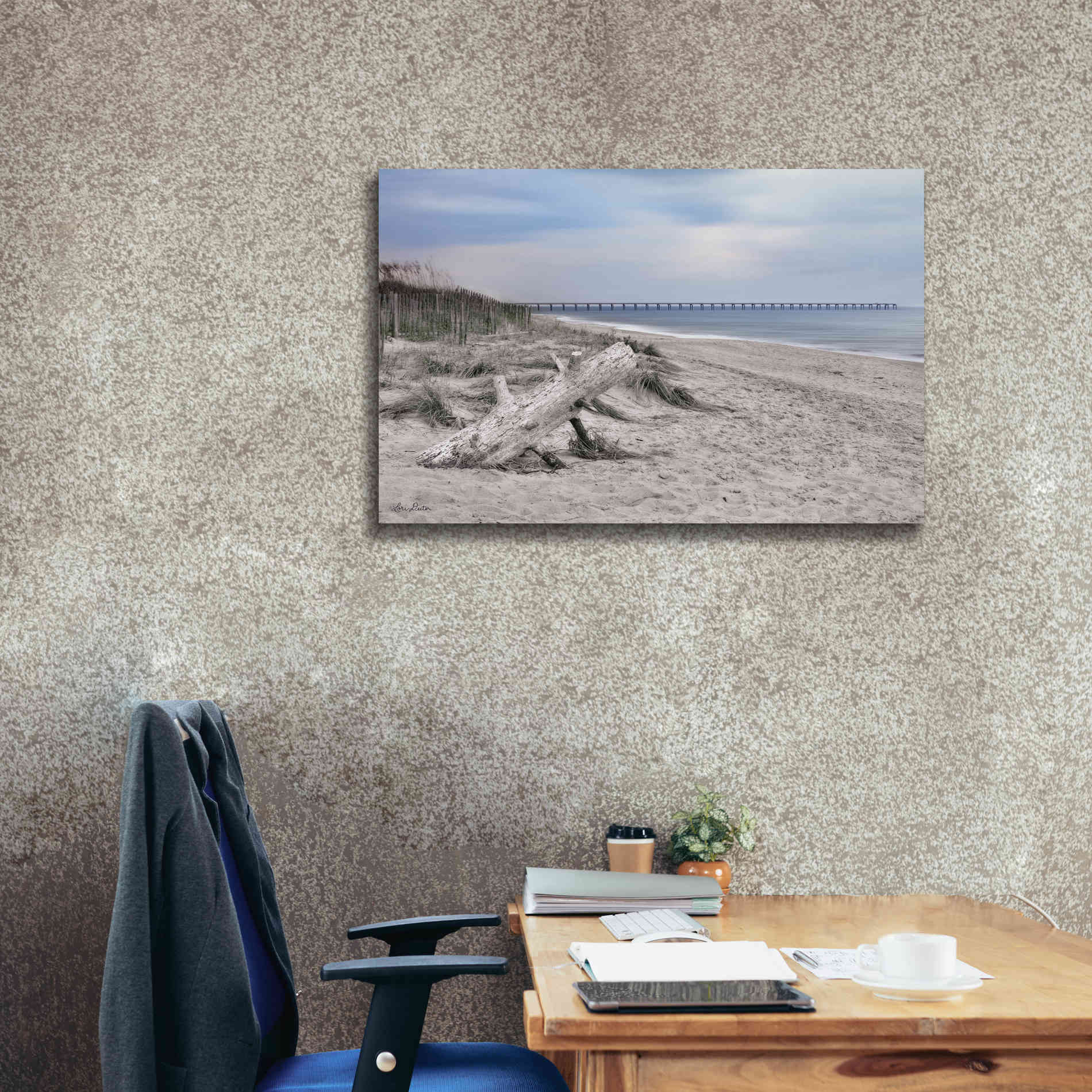'Outer Banks Beach' by Lori Deiter, Canvas Wall Art,40 x 26