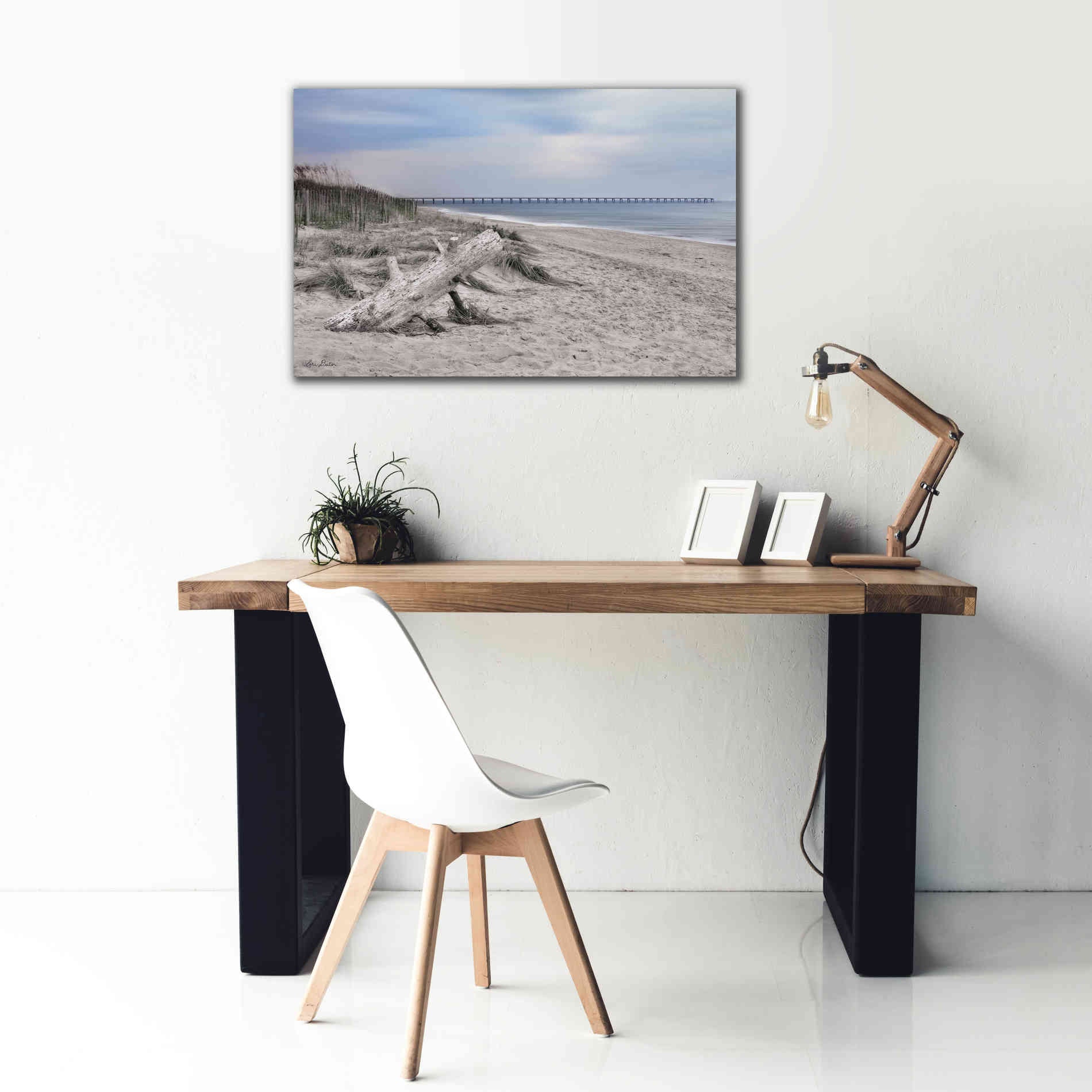 'Outer Banks Beach' by Lori Deiter, Canvas Wall Art,40 x 26