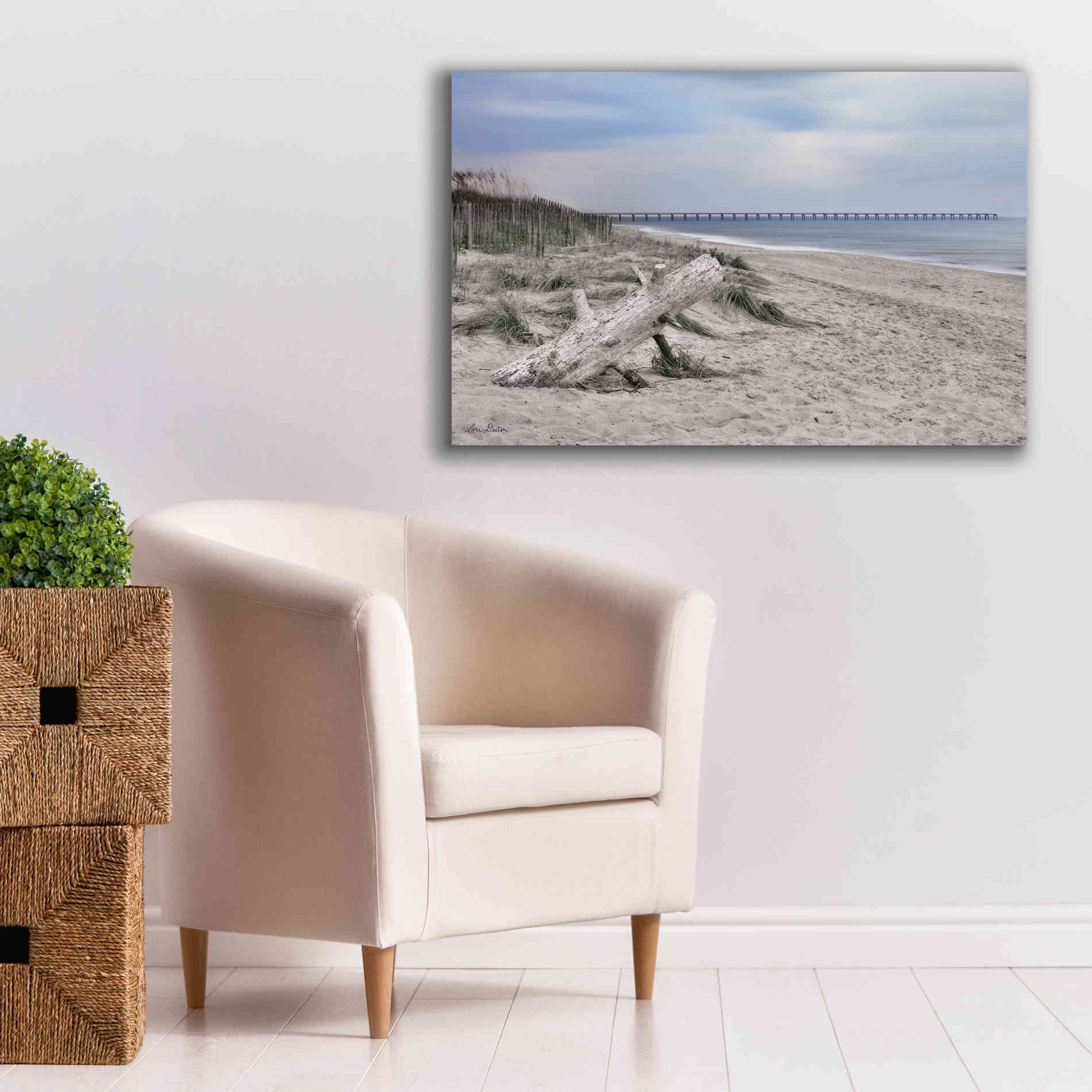 'Outer Banks Beach' by Lori Deiter, Canvas Wall Art,40 x 26