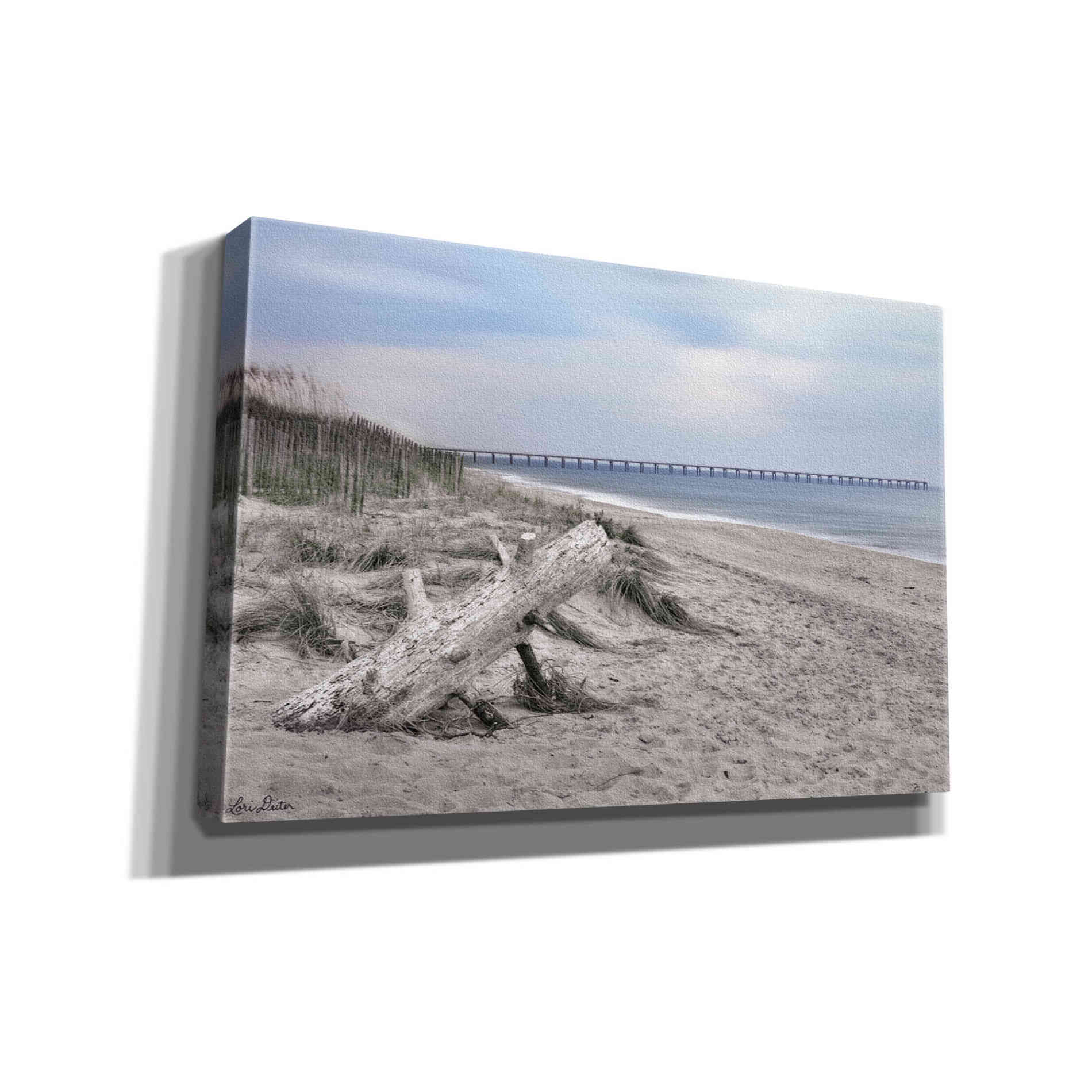 'Outer Banks Beach' by Lori Deiter, Canvas Wall Art