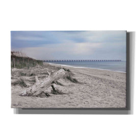 'Outer Banks Beach' by Lori Deiter, Canvas Wall Art
