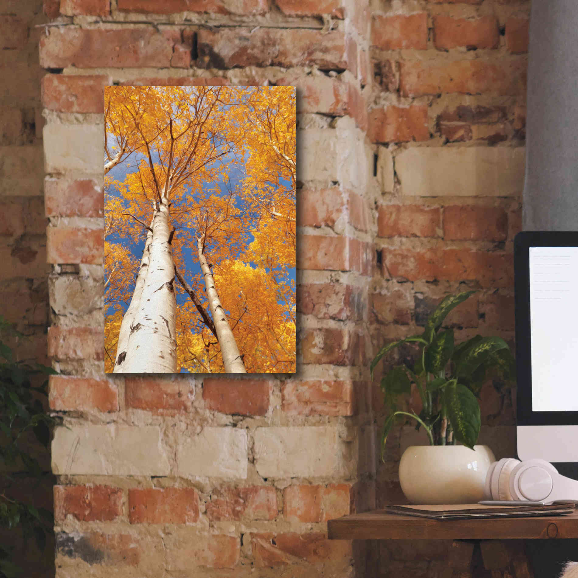 'Aspen I' by Lori Deiter, Canvas Wall Art,12 x 18