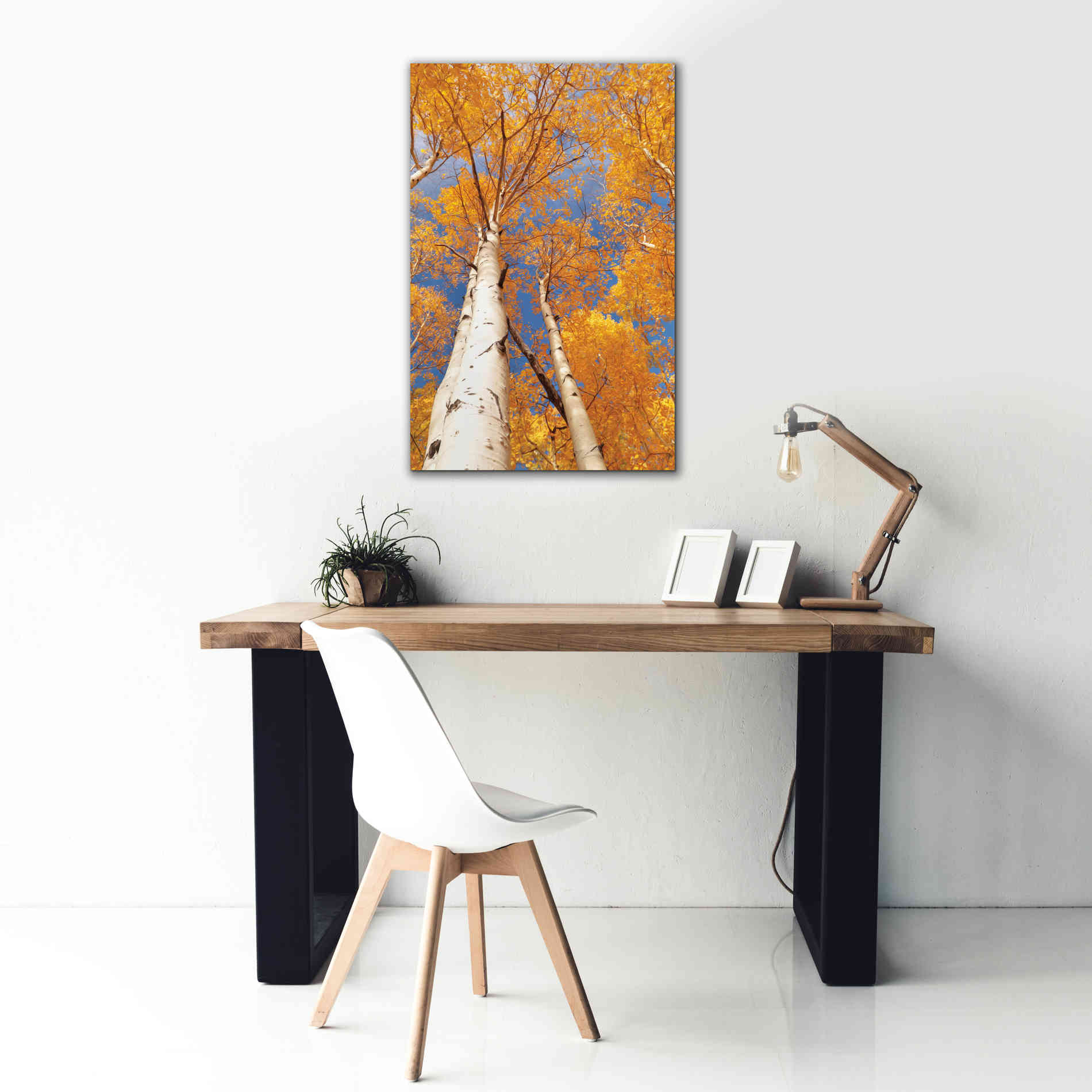 'Aspen I' by Lori Deiter, Canvas Wall Art,26 x 40