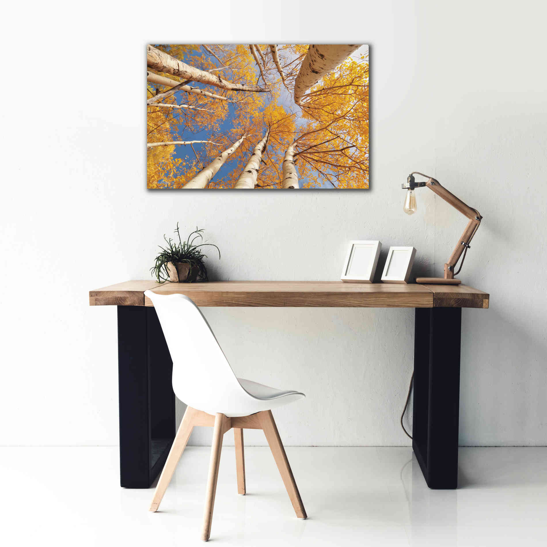 'Aspen II' by Lori Deiter, Canvas Wall Art,40 x 26