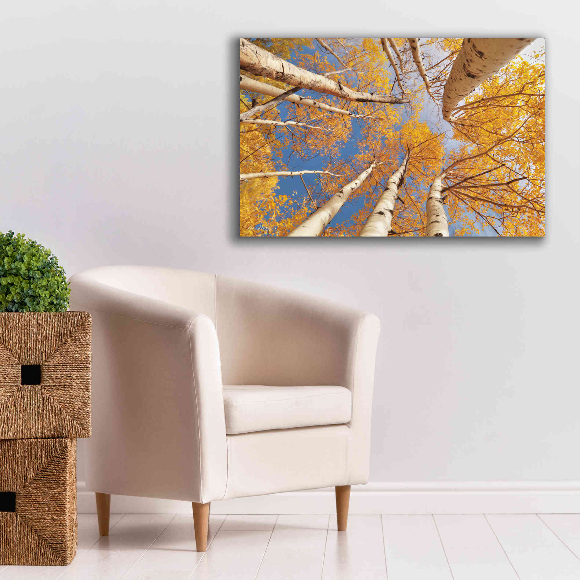 'Aspen II' by Lori Deiter, Canvas Wall Art,40 x 26