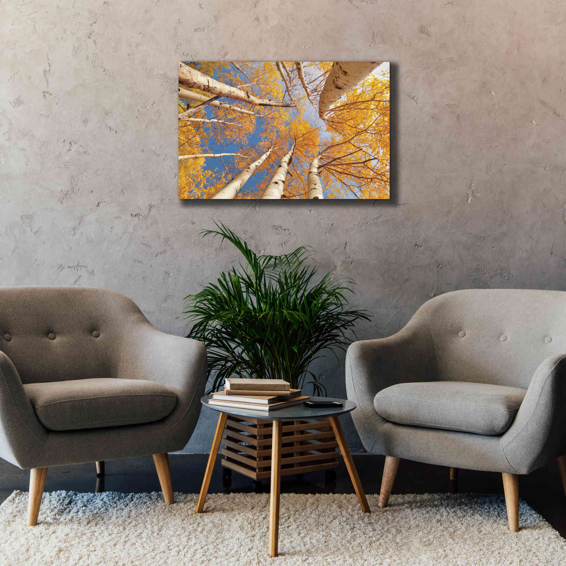 'Aspen II' by Lori Deiter, Canvas Wall Art,40 x 26