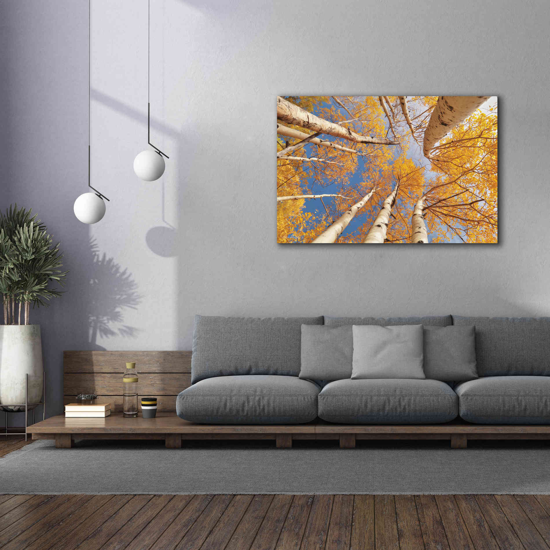 'Aspen II' by Lori Deiter, Canvas Wall Art,60 x 40