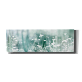 'Dreamy Meadow' by Lori Deiter, Canvas Wall Art
