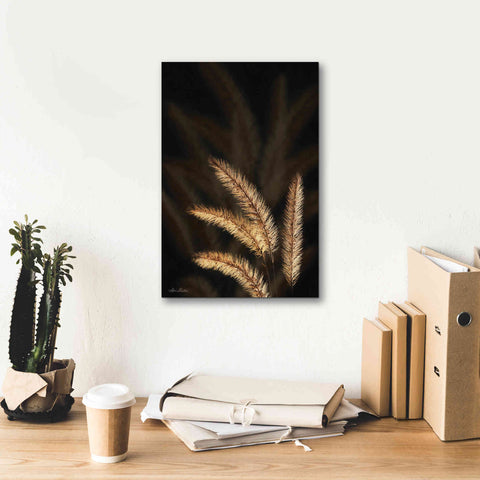 Image of 'Golden Grass I' by Lori Deiter, Canvas Wall Art,12 x 18