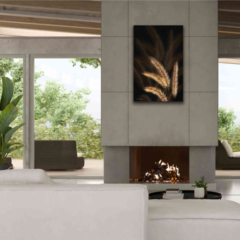 Image of 'Golden Grass I' by Lori Deiter, Canvas Wall Art,26 x 40