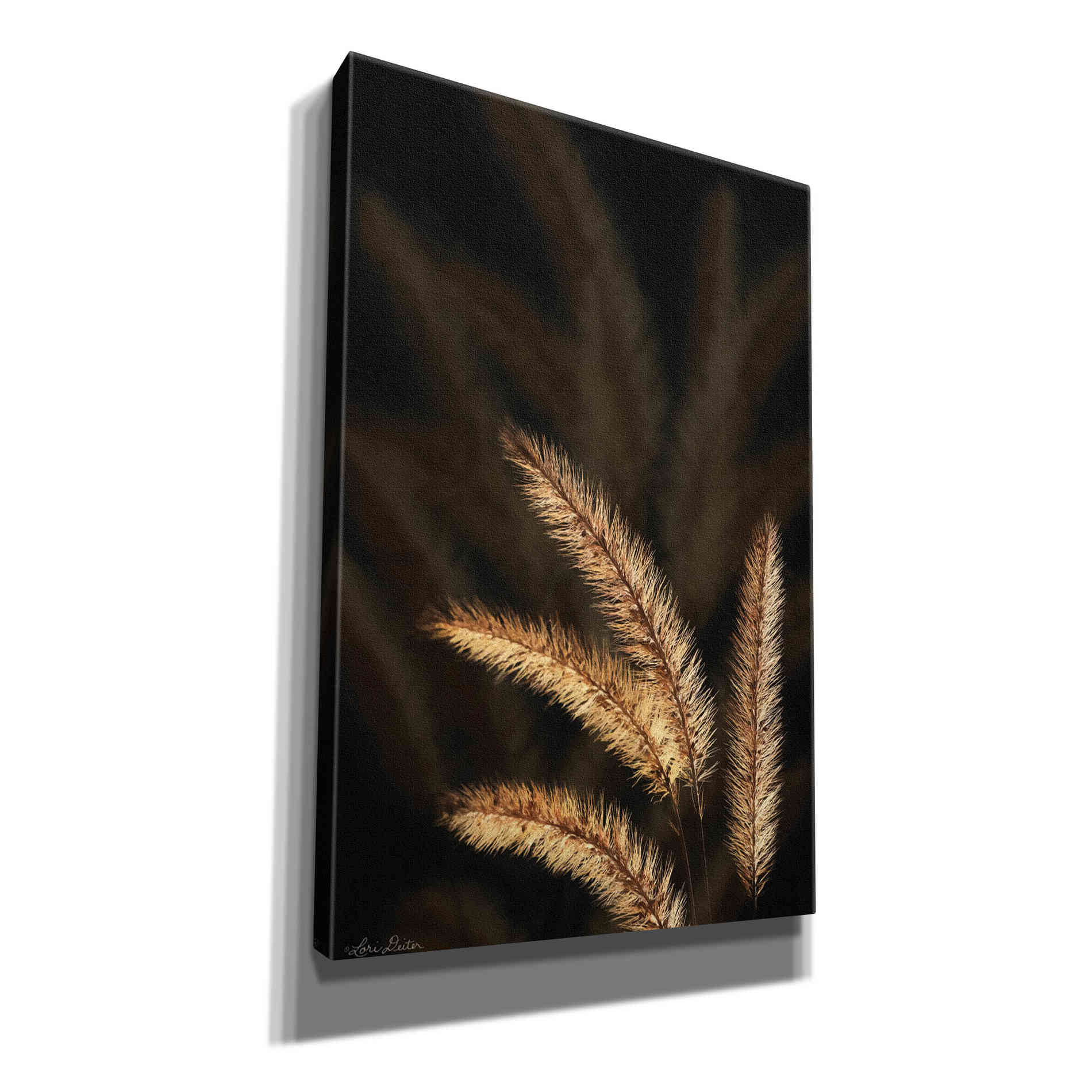 'Golden Grass I' by Lori Deiter, Canvas Wall Art
