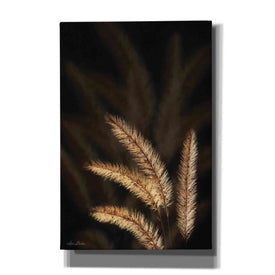 'Golden Grass I' by Lori Deiter, Canvas Wall Art