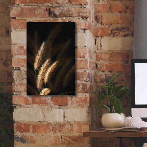 Image of 'Golden Grass III' by Lori Deiter, Canvas Wall Art,12 x 18