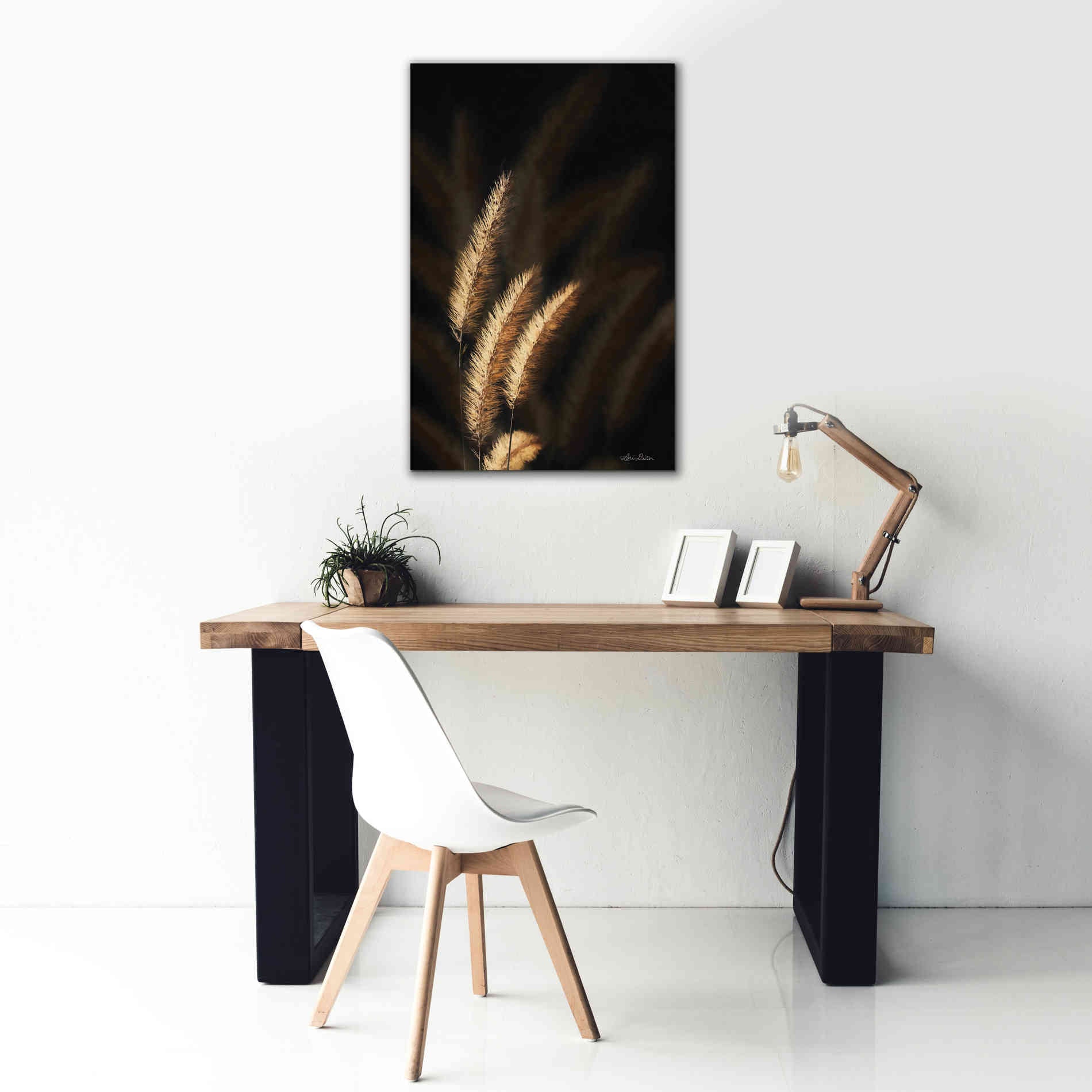 'Golden Grass III' by Lori Deiter, Canvas Wall Art,26 x 40
