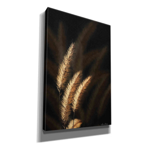 Image of 'Golden Grass III' by Lori Deiter, Canvas Wall Art