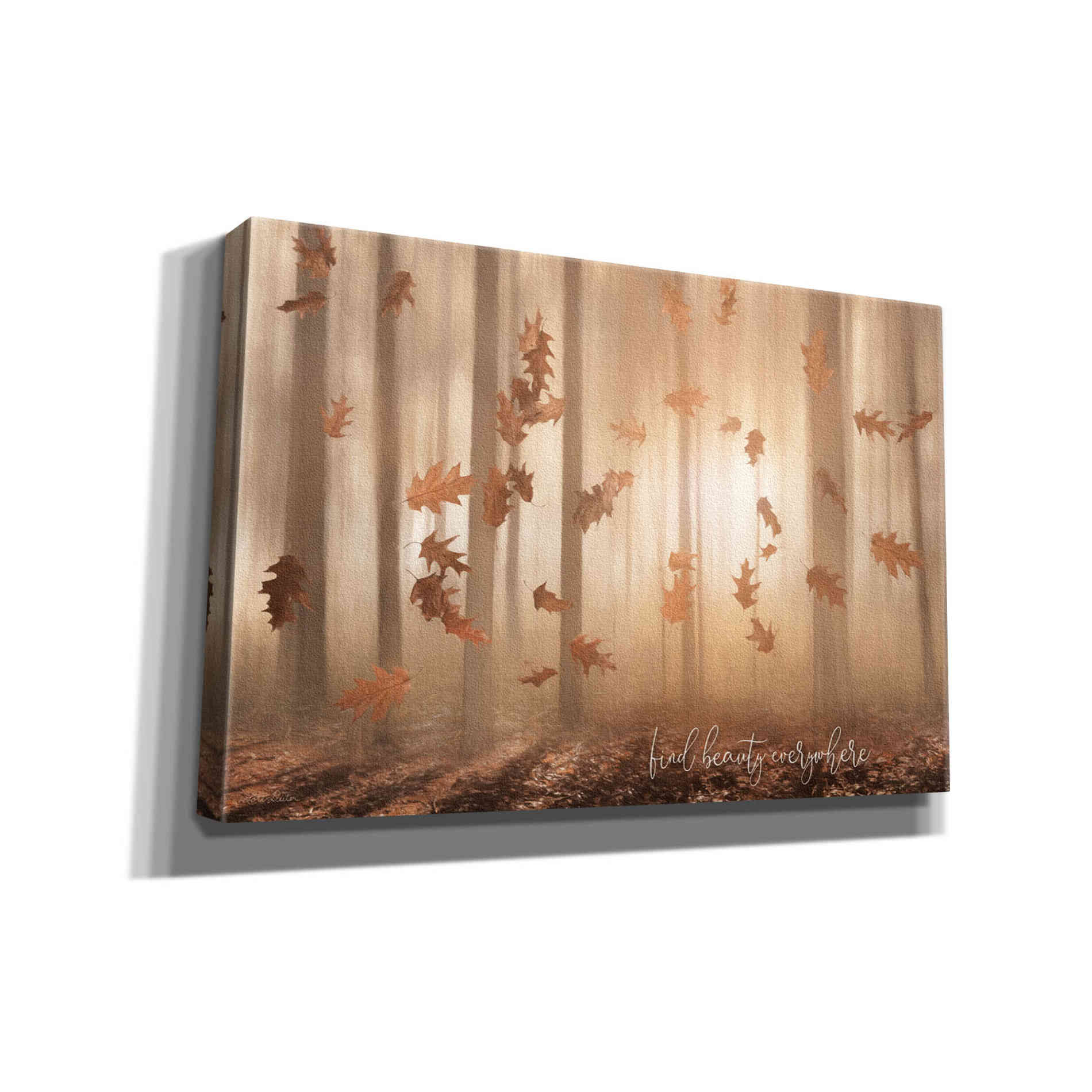 'Find Beauty Everywhere' by Lori Deiter, Canvas Wall Art