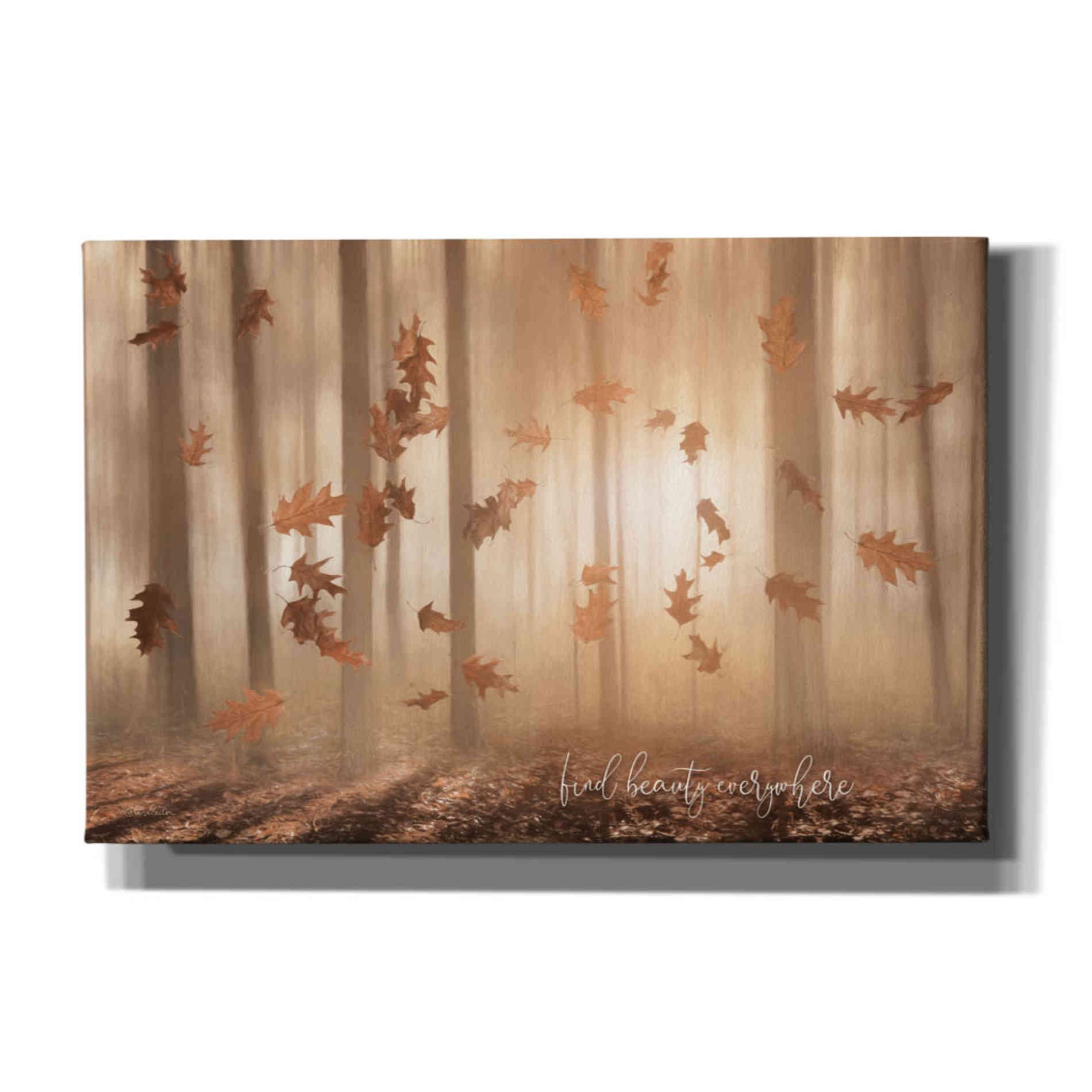 'Find Beauty Everywhere' by Lori Deiter, Canvas Wall Art
