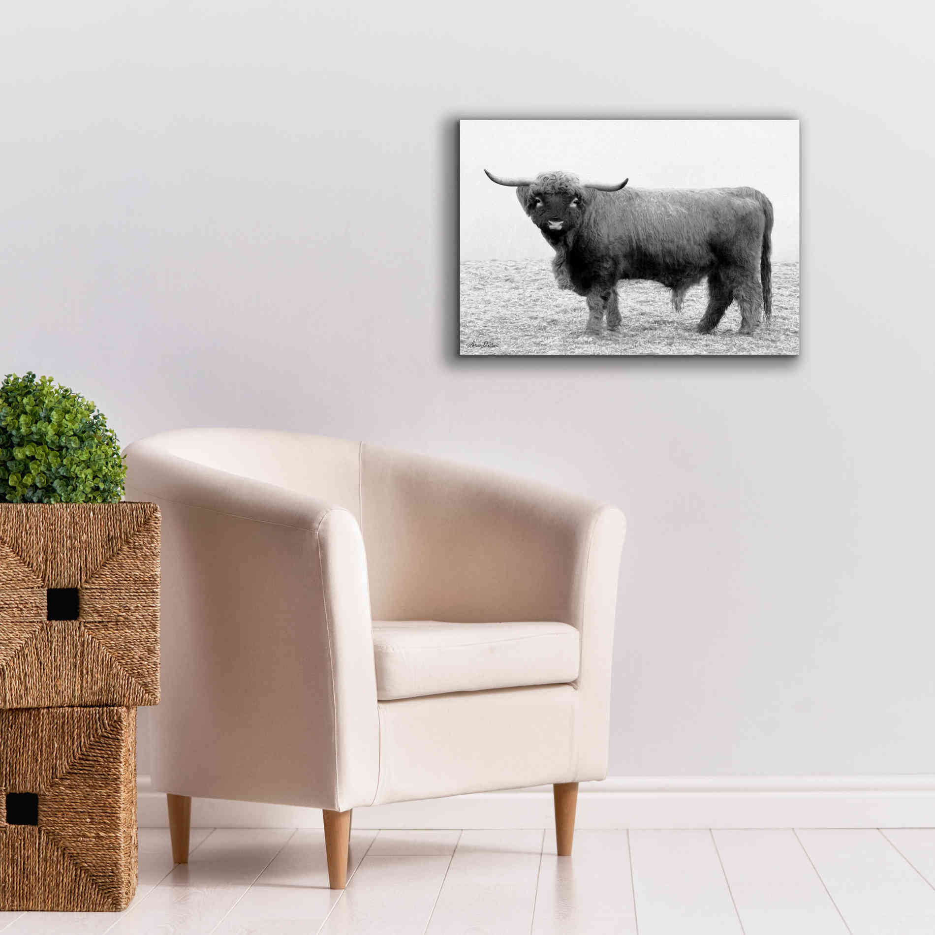 'Scotty the Bull' by Lori Deiter, Canvas Wall Art,26 x 18