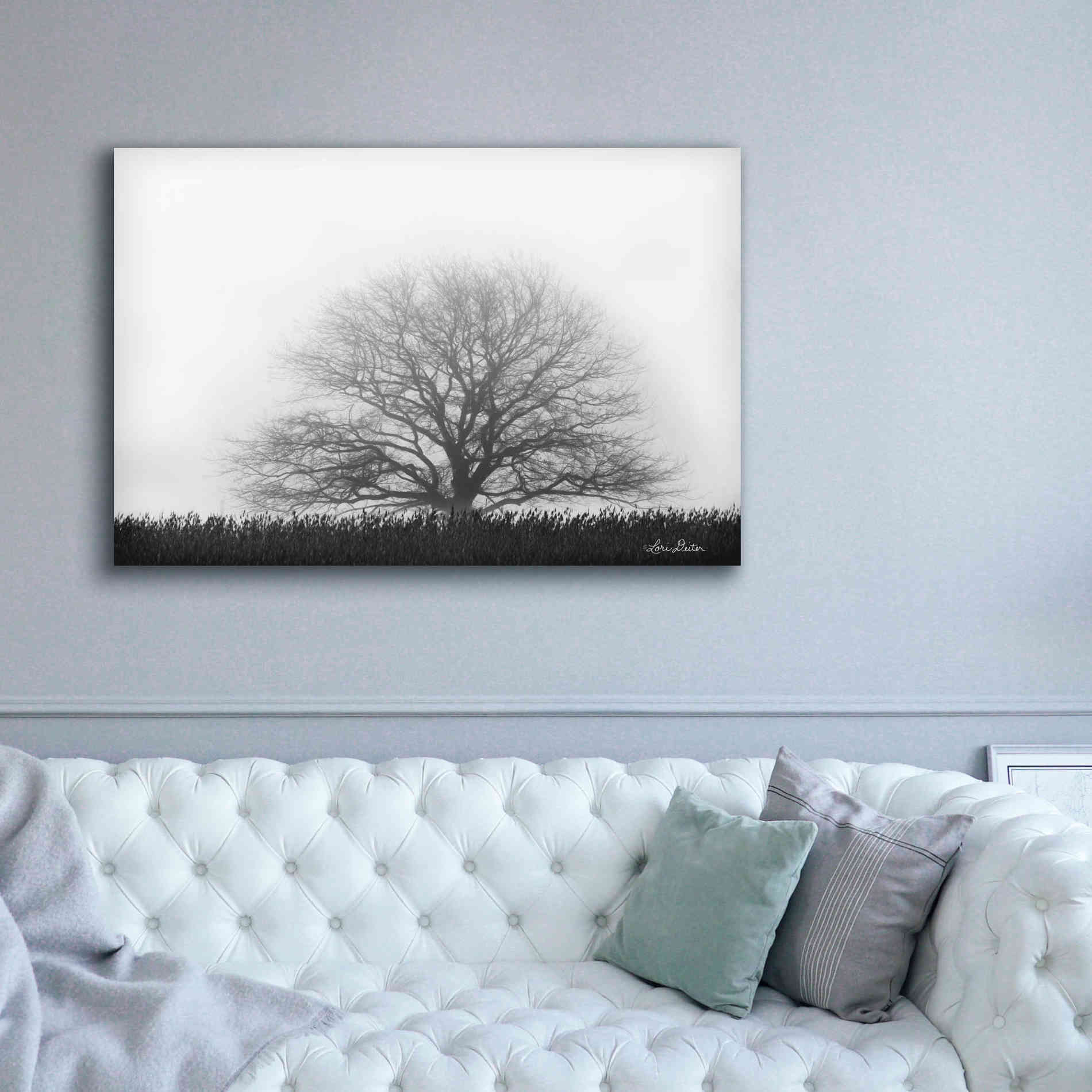 'Foggy Old Tree' by Lori Deiter, Canvas Wall Art,60 x 40