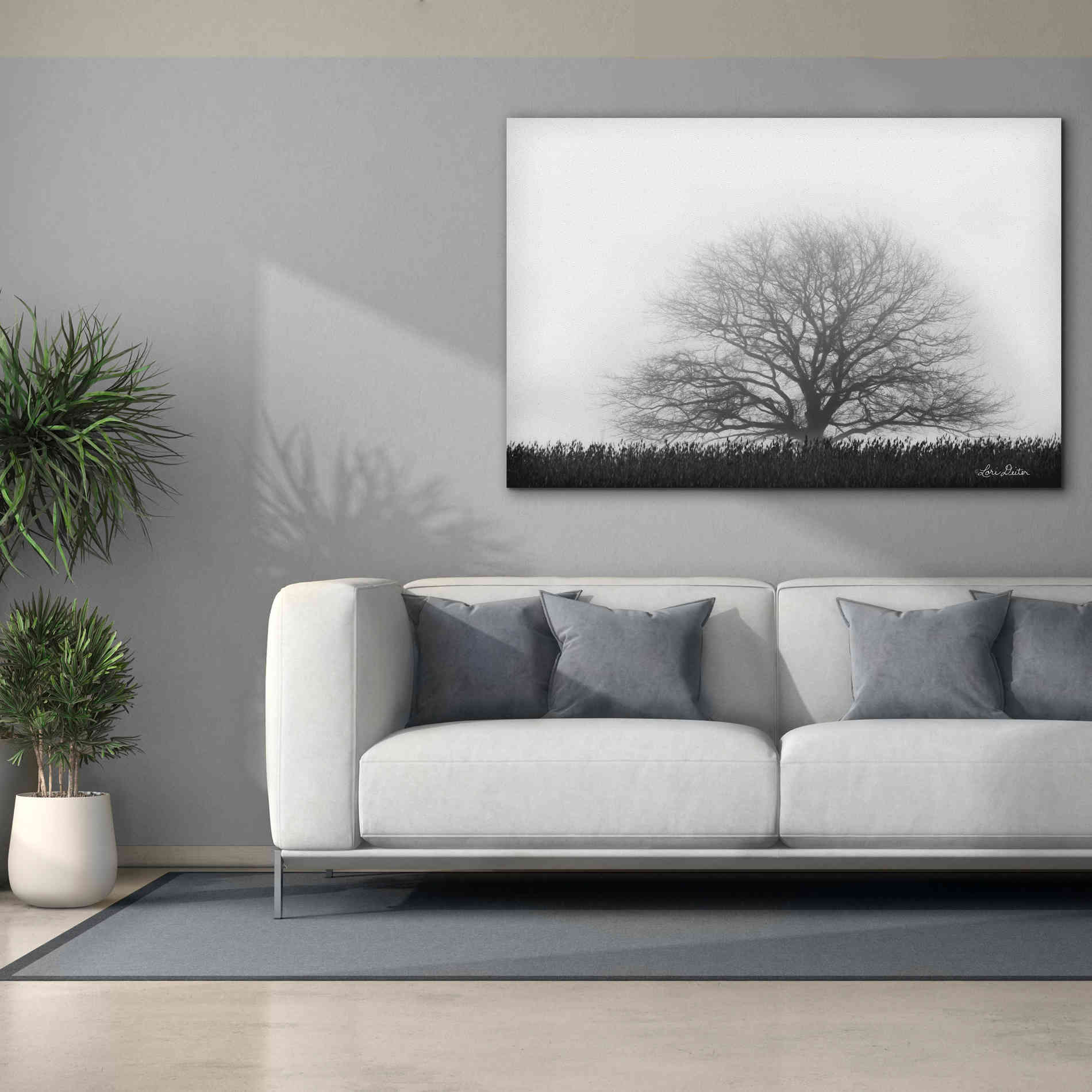 'Foggy Old Tree' by Lori Deiter, Canvas Wall Art,60 x 40
