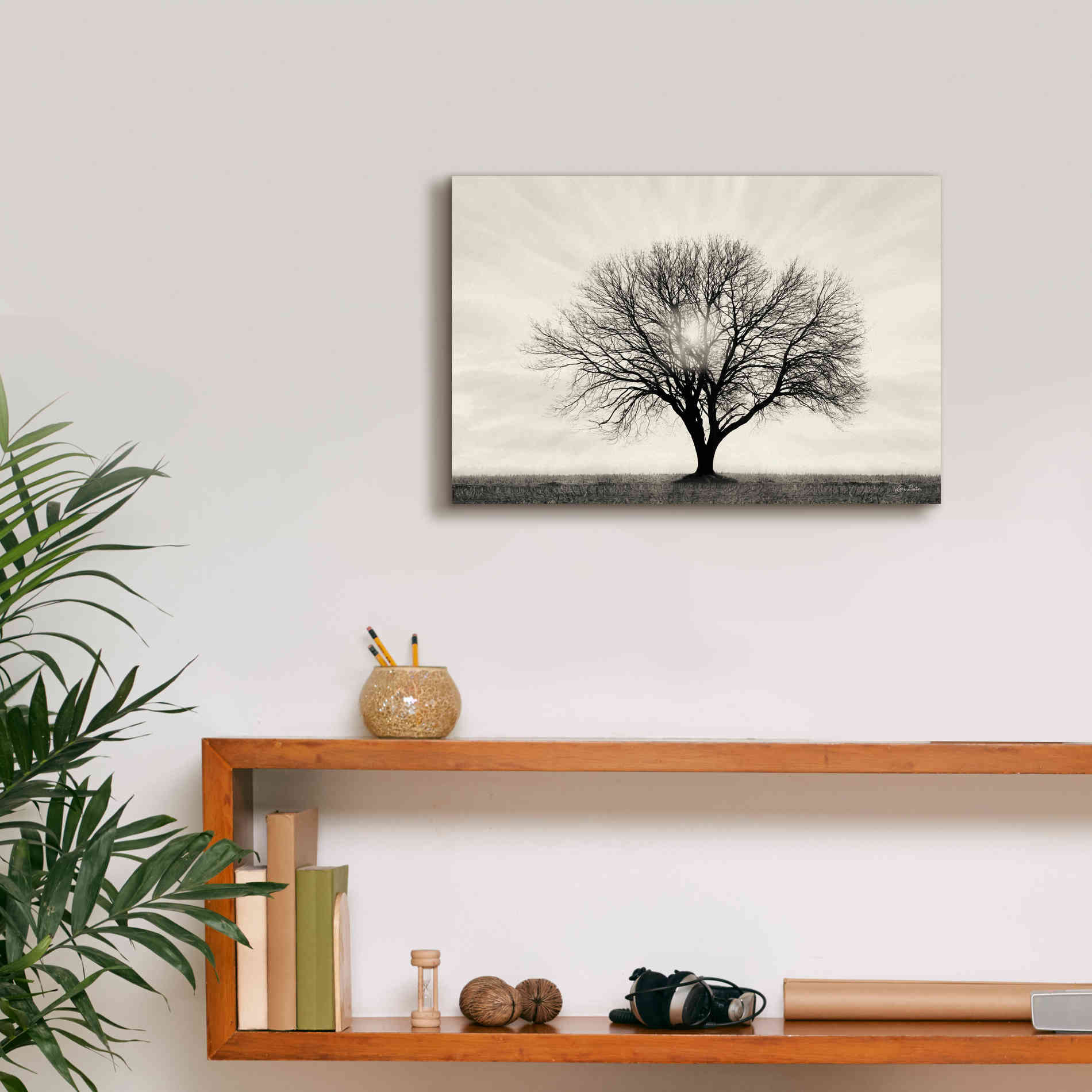 'Grow in Different Directions' by Lori Deiter, Canvas Wall Art,18 x 12