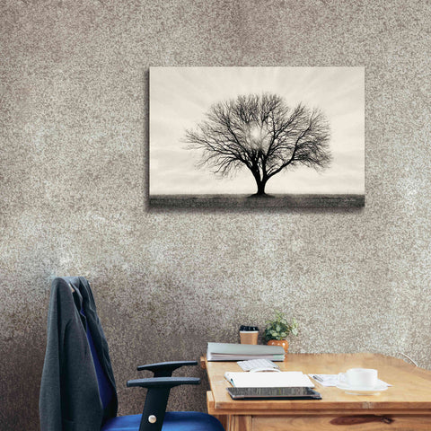 Image of 'Grow in Different Directions' by Lori Deiter, Canvas Wall Art,40 x 26