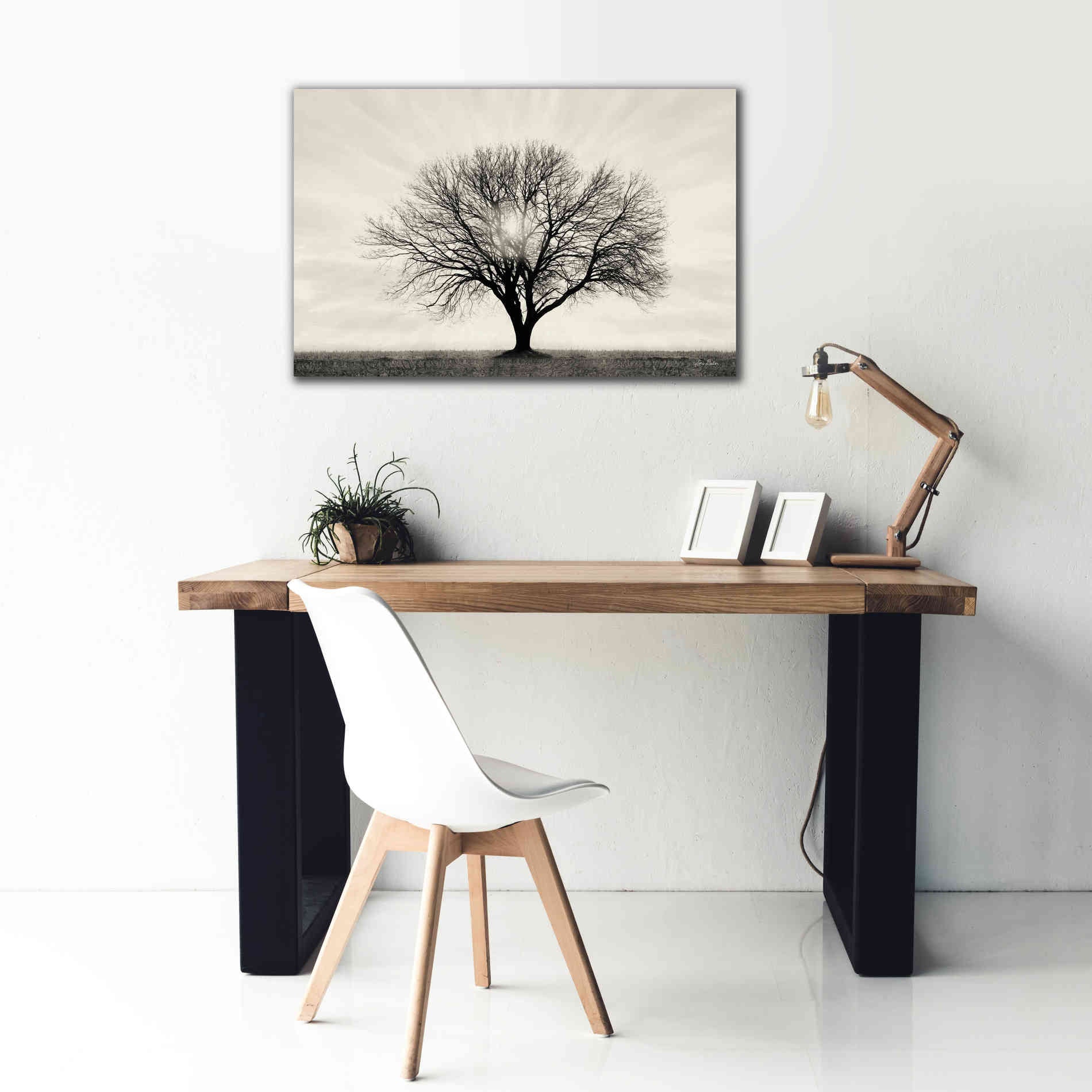 'Grow in Different Directions' by Lori Deiter, Canvas Wall Art,40 x 26