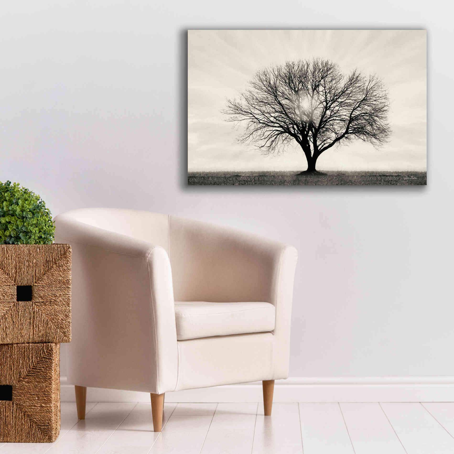 'Grow in Different Directions' by Lori Deiter, Canvas Wall Art,40 x 26