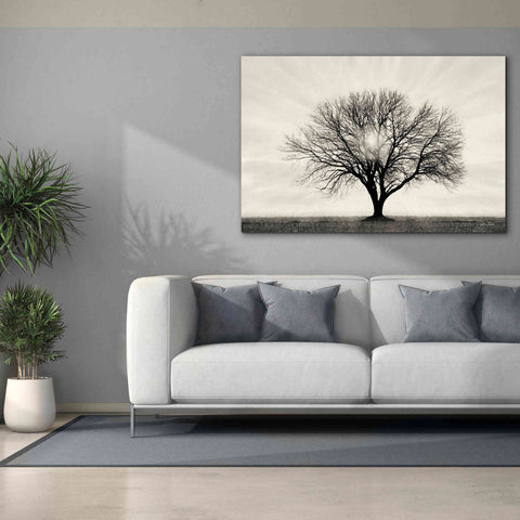 Image of 'Grow in Different Directions' by Lori Deiter, Canvas Wall Art,60 x 40