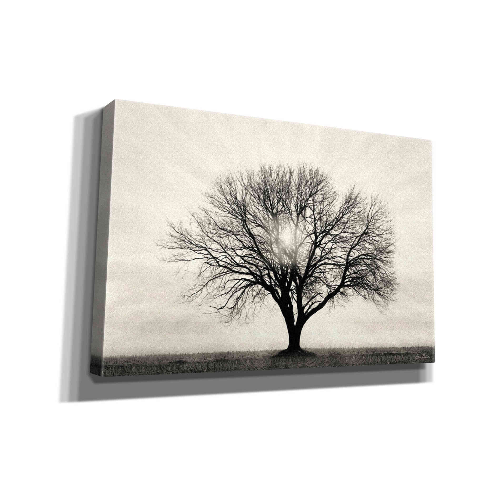 'Grow in Different Directions' by Lori Deiter, Canvas Wall Art