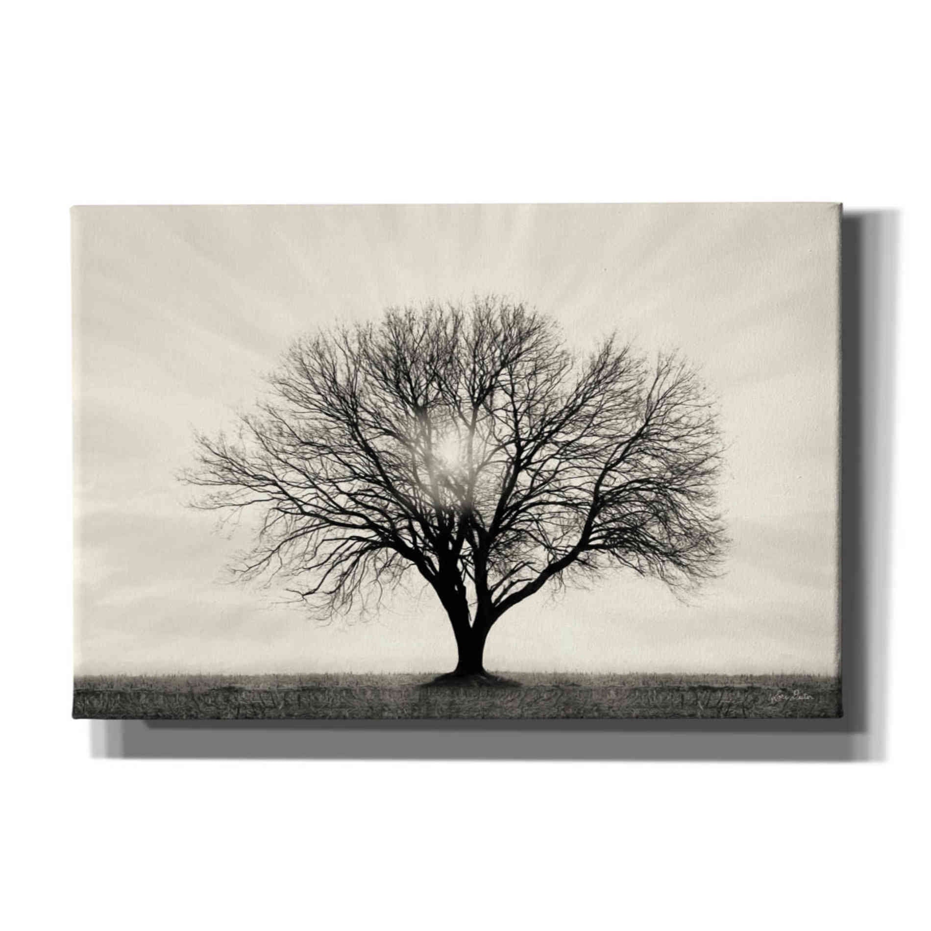 'Grow in Different Directions' by Lori Deiter, Canvas Wall Art