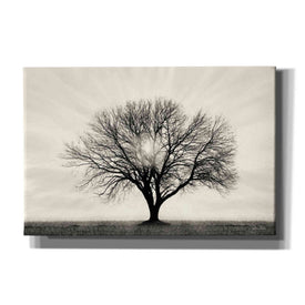 'Grow in Different Directions' by Lori Deiter, Canvas Wall Art