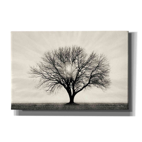 Image of 'Grow in Different Directions' by Lori Deiter, Canvas Wall Art