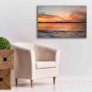 'Fire and Ice' by Lori Deiter, Canvas Wall Art,40 x 26
