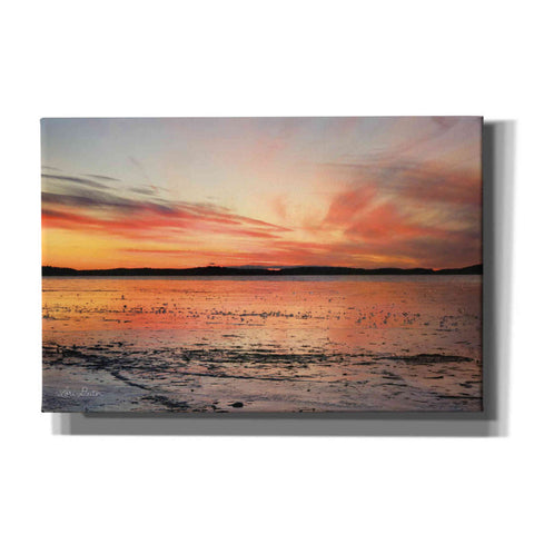 Image of 'Fire and Ice' by Lori Deiter, Canvas Wall Art