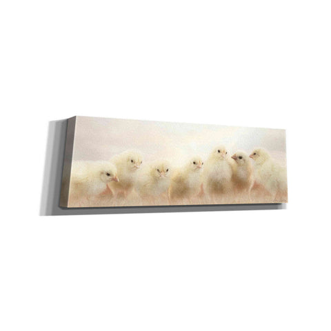 Image of 'Spring Line Up' by Lori Deiter, Canvas Wall Art