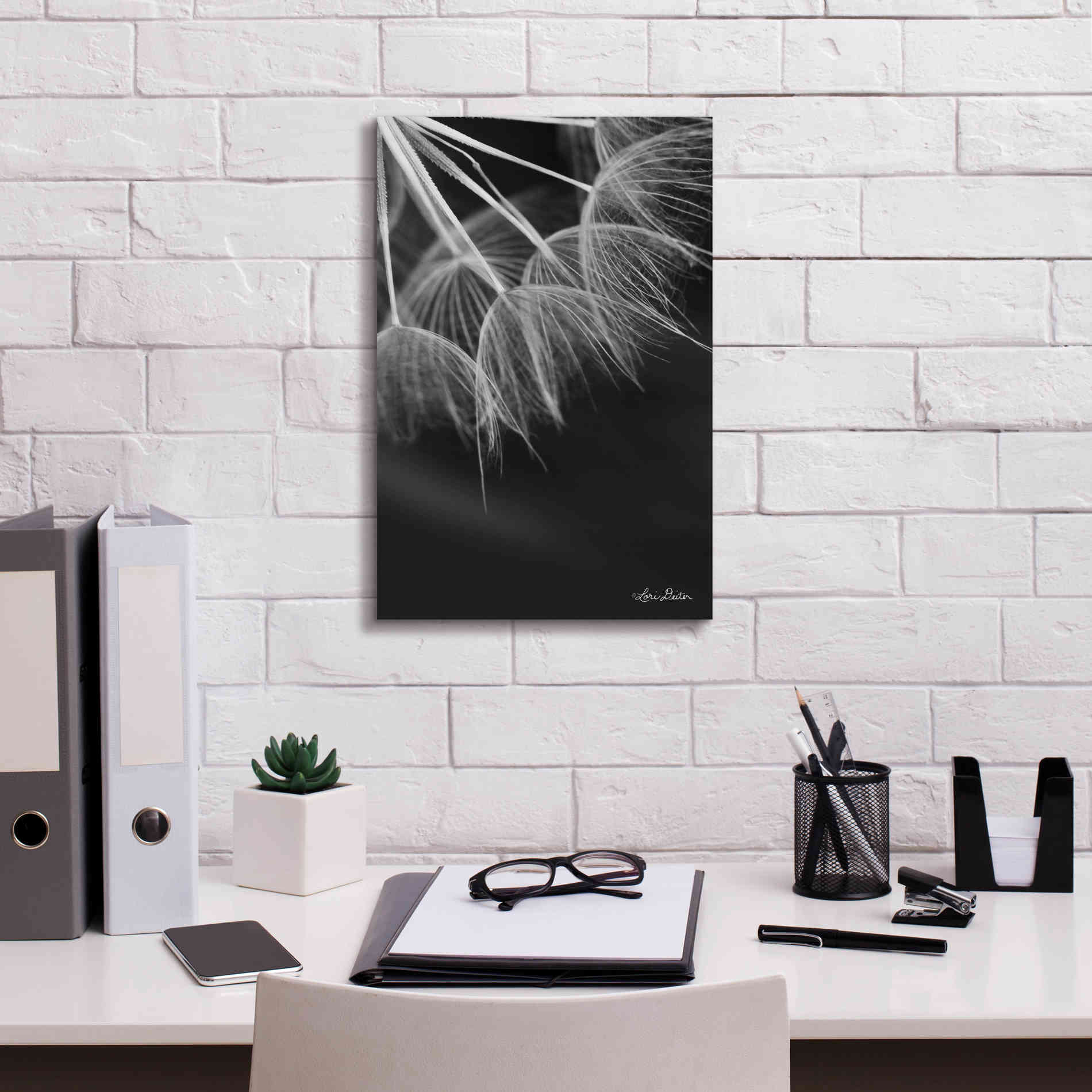 'Goatsbeard I' by Lori Deiter, Canvas Wall Art,12 x 18