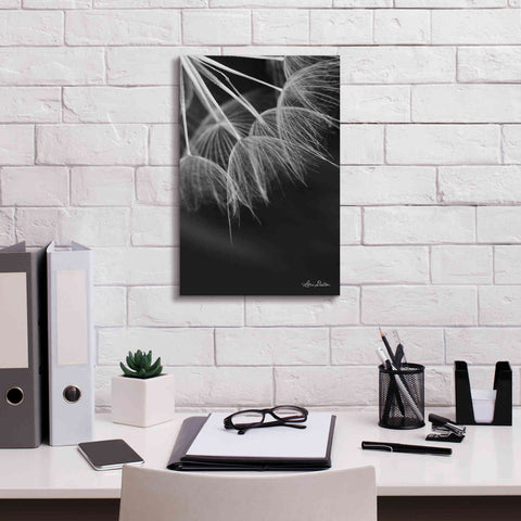 Image of 'Goatsbeard I' by Lori Deiter, Canvas Wall Art,12 x 18