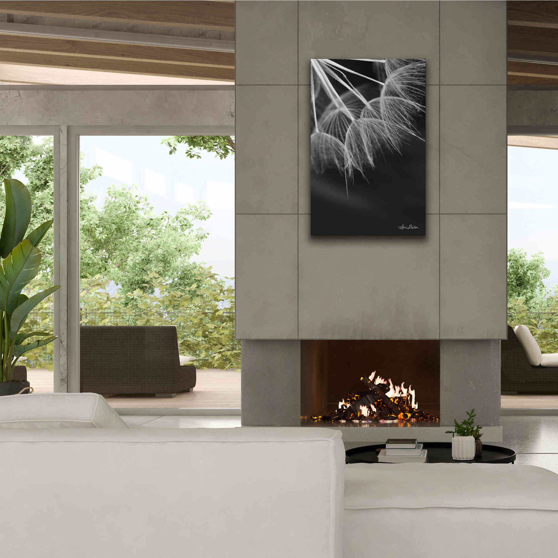 'Goatsbeard I' by Lori Deiter, Canvas Wall Art,26 x 40