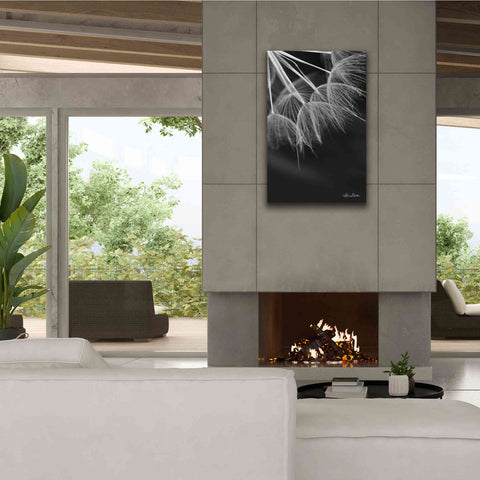 Image of 'Goatsbeard I' by Lori Deiter, Canvas Wall Art,26 x 40