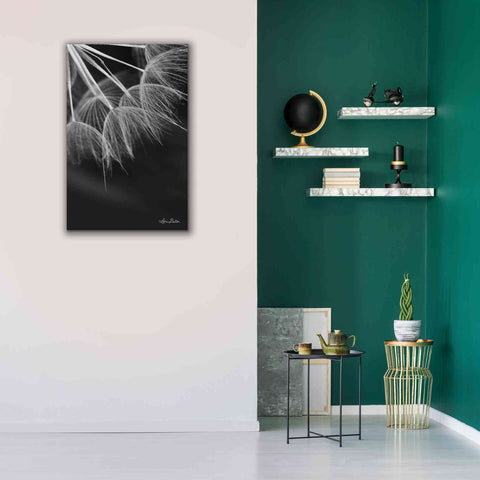 Image of 'Goatsbeard I' by Lori Deiter, Canvas Wall Art,26 x 40