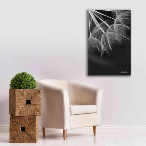 Image of 'Goatsbeard I' by Lori Deiter, Canvas Wall Art,26 x 40