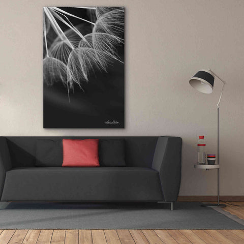 Image of 'Goatsbeard I' by Lori Deiter, Canvas Wall Art,40 x 60
