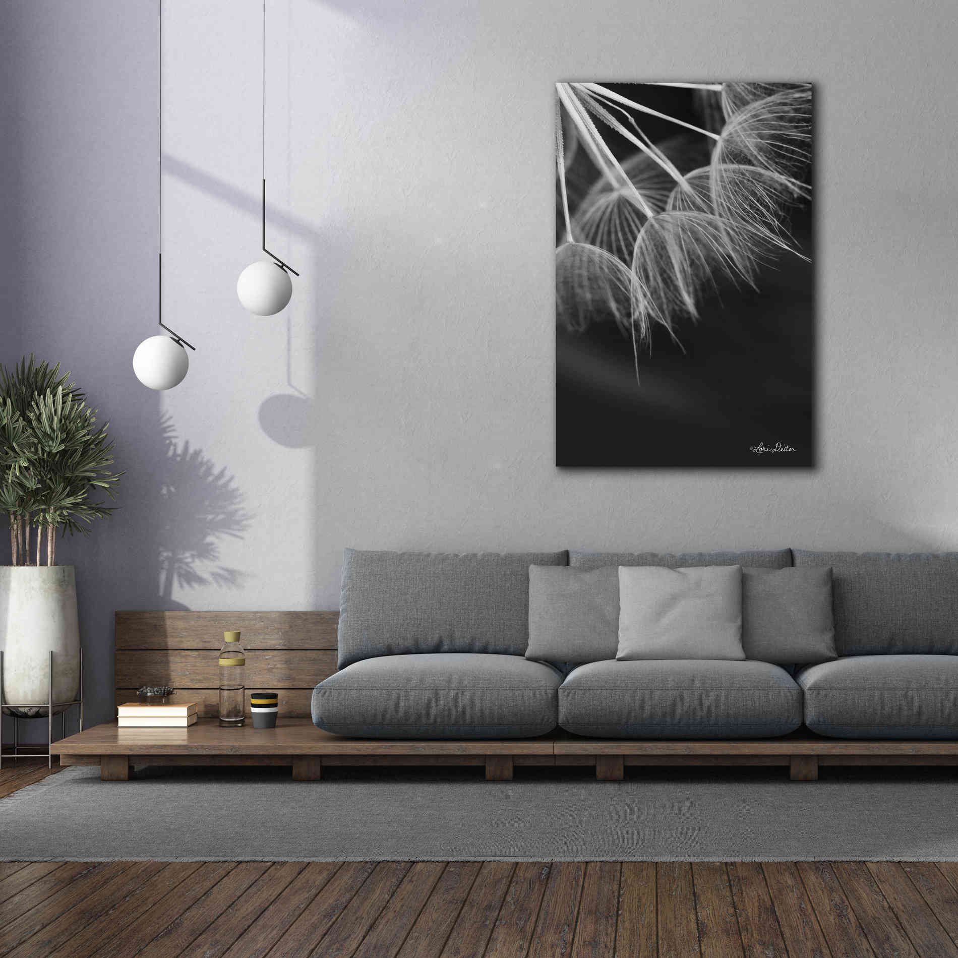 'Goatsbeard I' by Lori Deiter, Canvas Wall Art,40 x 60