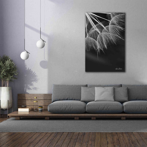 Image of 'Goatsbeard I' by Lori Deiter, Canvas Wall Art,40 x 60