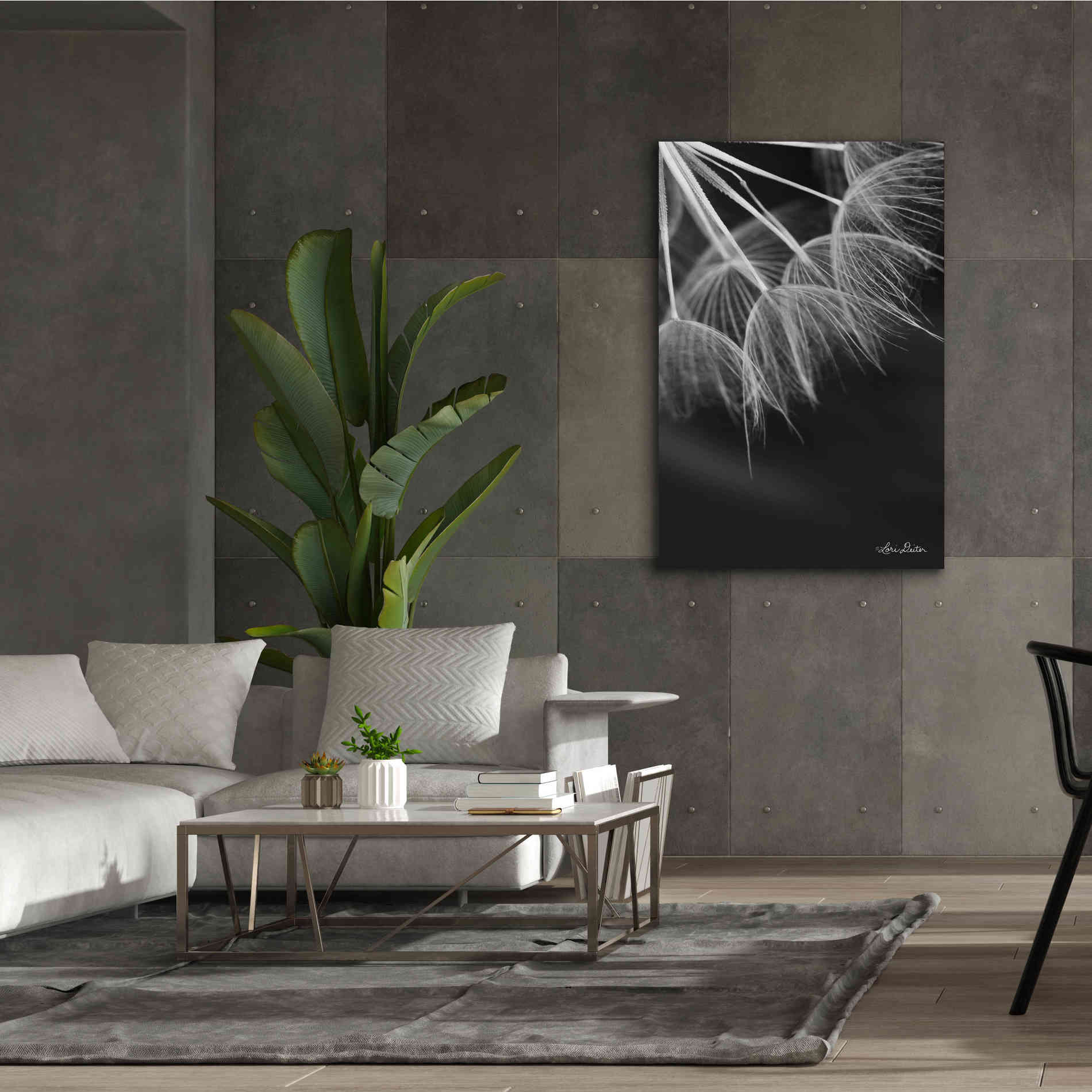 'Goatsbeard I' by Lori Deiter, Canvas Wall Art,40 x 60