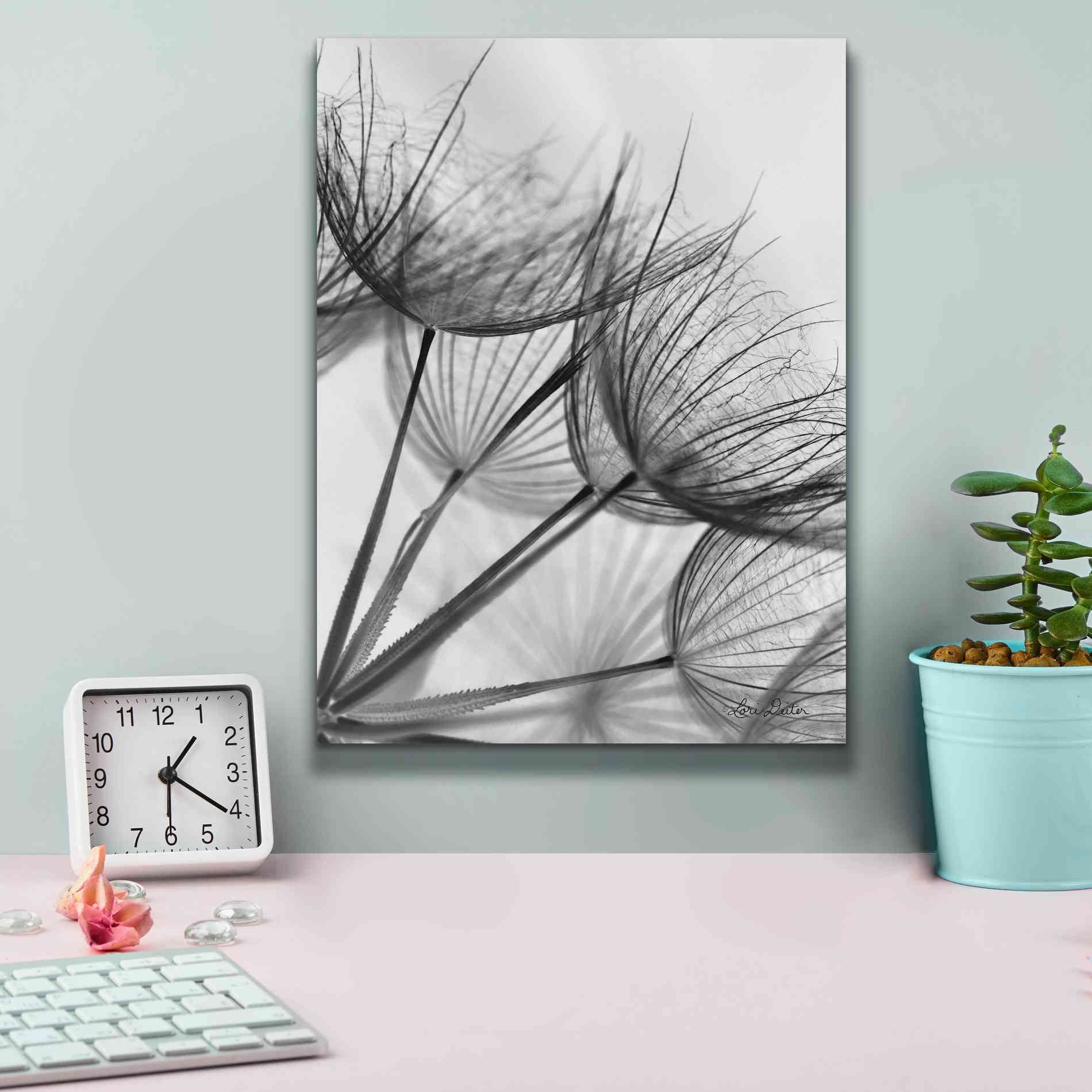 'Goatsbeard II' by Lori Deiter, Canvas Wall Art,12 x 16
