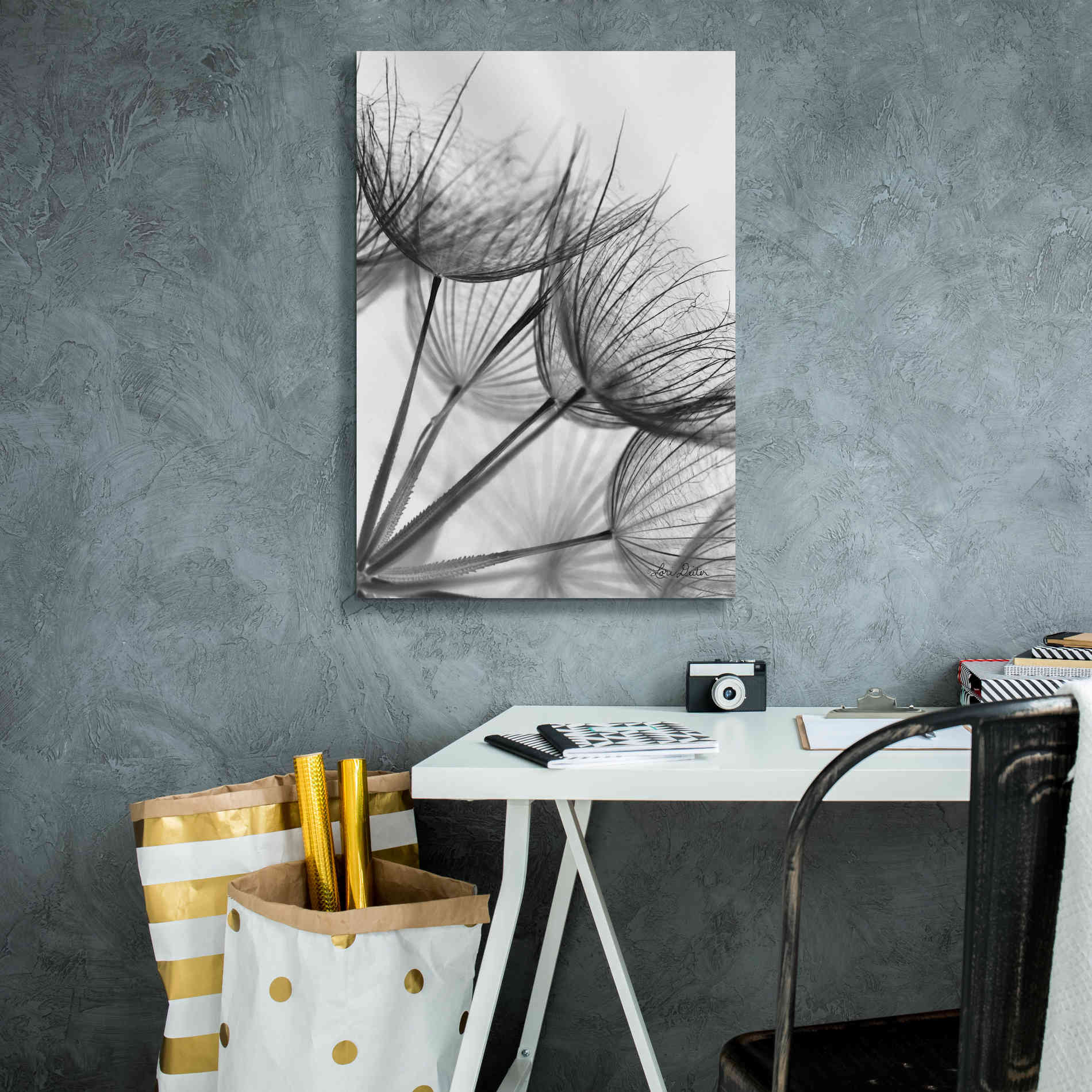 'Goatsbeard II' by Lori Deiter, Canvas Wall Art,18 x 26